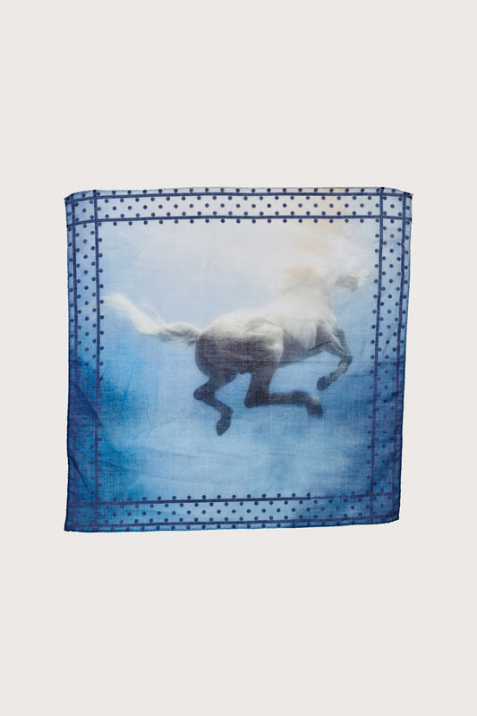 HANKY1
