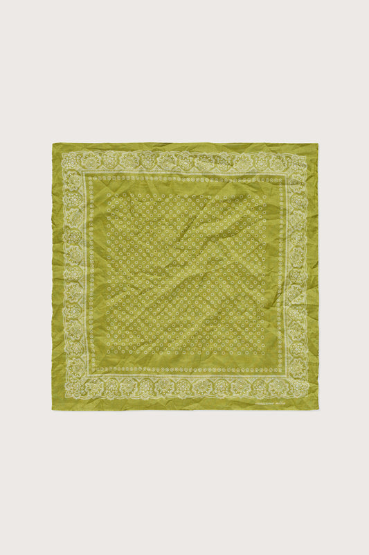 HANKY1